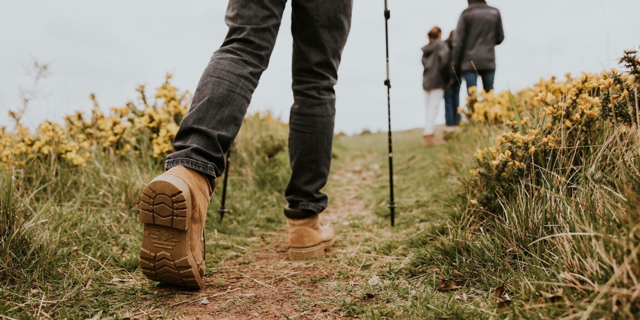 A group of people walking along a hiking trail.