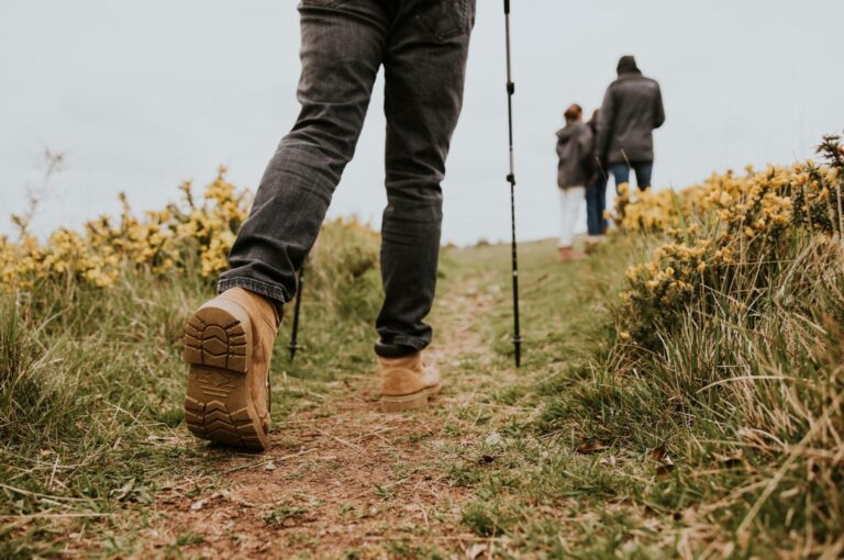 A group of people walking along a hiking trail.
