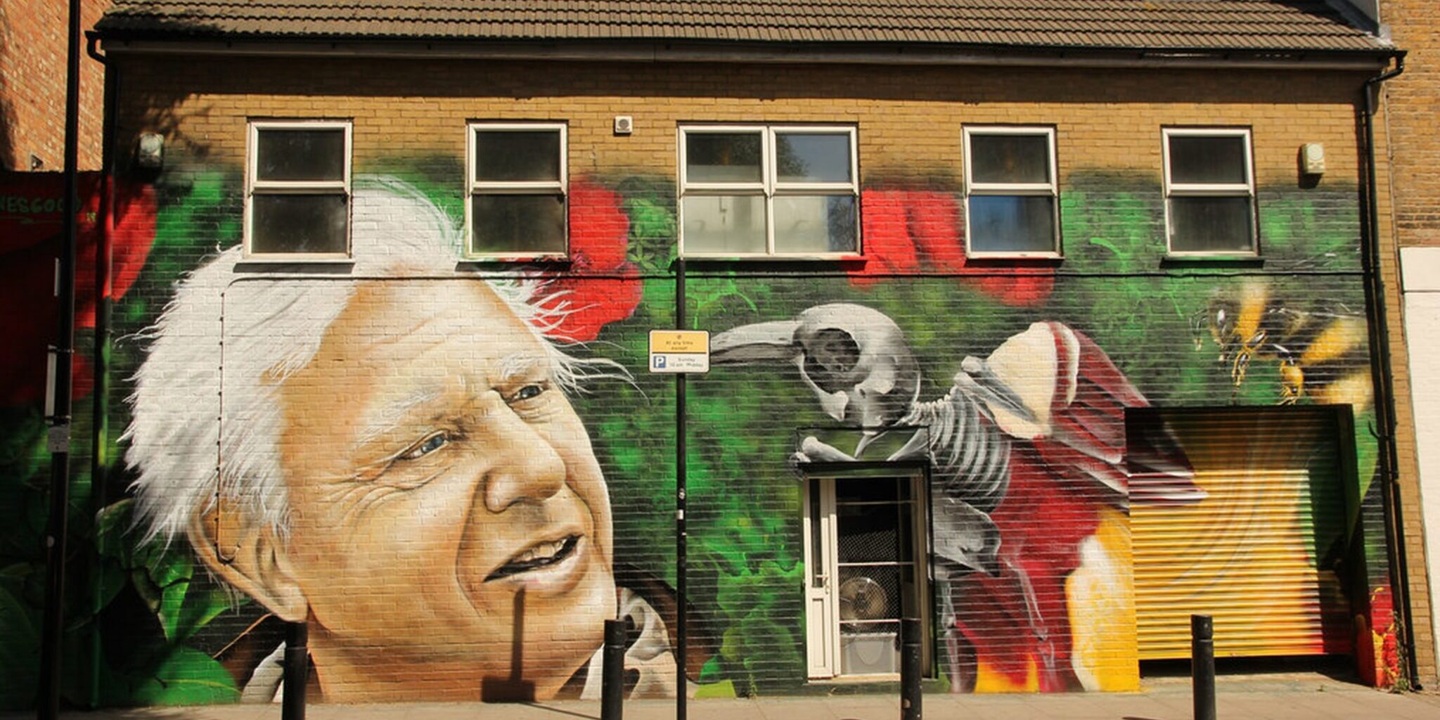 23 A mural of David Attenborough.