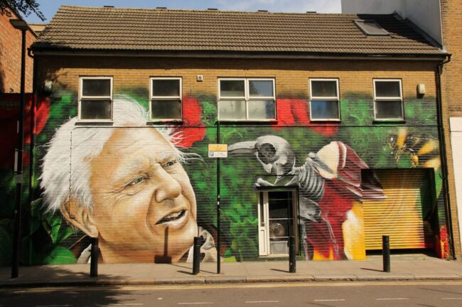 23 A mural of David Attenborough.